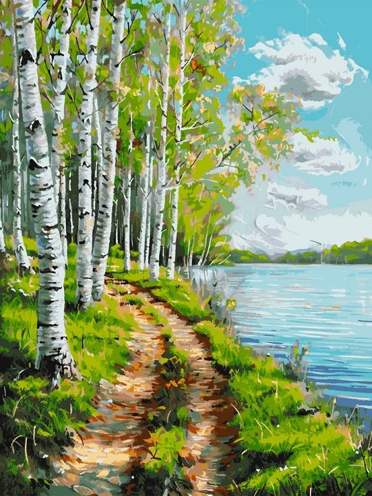 Картина по номерам без подрамника «Березы у воды» 130x100 см