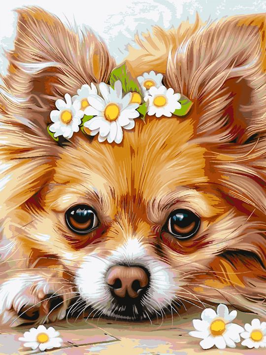 Картина по номерам без подрамника «Чихуахуа» 130x100 см