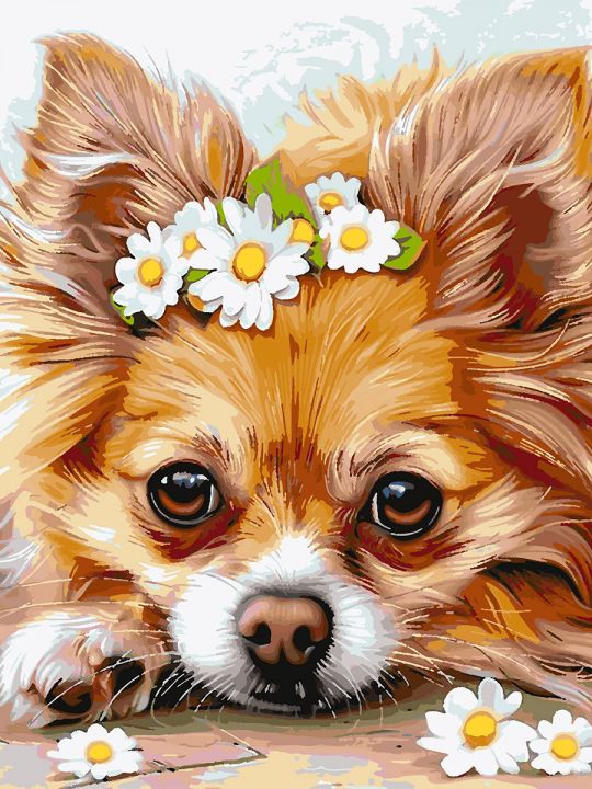 Картина по номерам без подрамника «Чихуахуа» 80x60 см