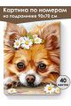 Картина по номерам на подрамнике «Чихуахуа» 90x70 см