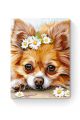Картина по номерам на подрамнике «Чихуахуа» 90x70 см