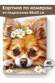 Картина по номерам на подрамнике «Чихуахуа» 80x60 см