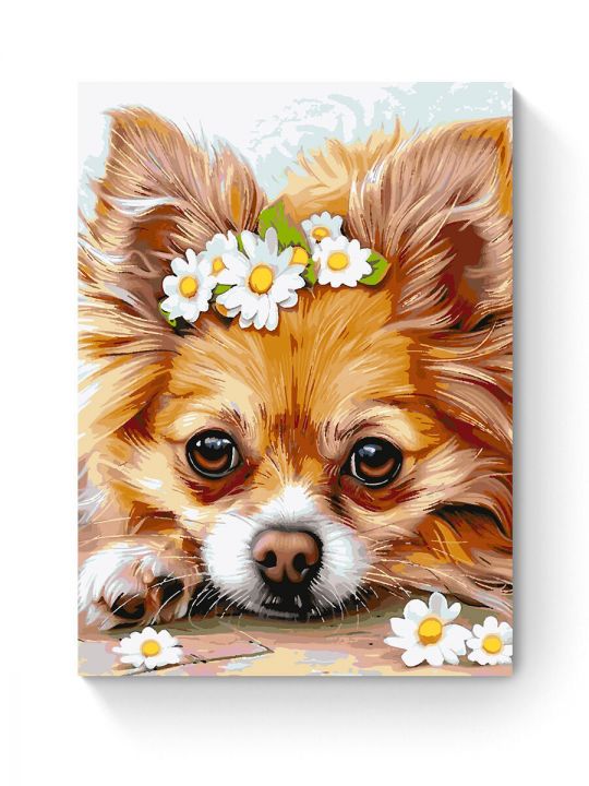 Картина по номерам на подрамнике «Чихуахуа» 80x60 см