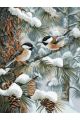 Картина по номерам без подрамника «Синички» 130x100 см