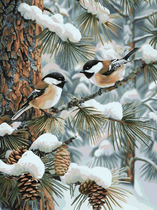 Картина по номерам без подрамника «Синички» 80x60 см