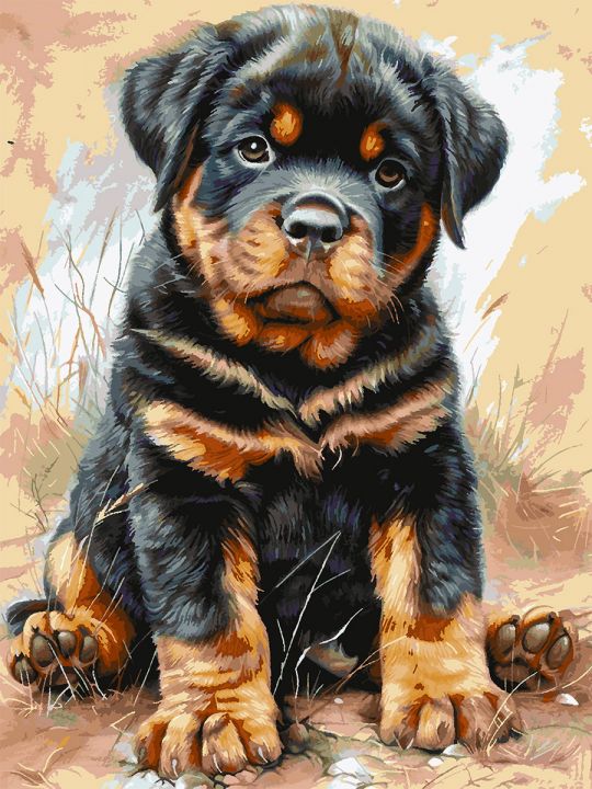 Картина по номерам без подрамника «Ротвейлер» 130x100 см