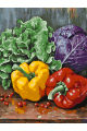 Картина по номерам на подрамнике «Спелые овощи» 25x20 см