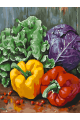 Картина по номерам без подрамника «Спелые овощи» 25x20 см
