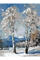 Картина по номерам без подрамника «Две березы» 35x25 см