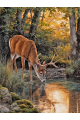 Алмазная мозаика без подрамника «Лесной олень» 130x100 см