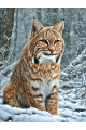 Алмазная мозаика без подрамника «Рысь в лесу» 90x70 см, 48 цветов