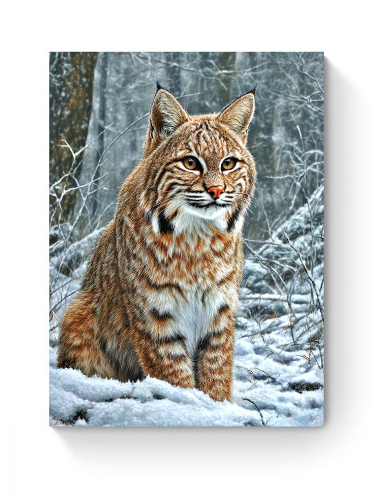 Алмазная мозаика на подрамнике «Рысь в лесу» 50x40 см