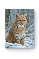 Алмазная мозаика на подрамнике «Рысь в лесу» 70x50 см