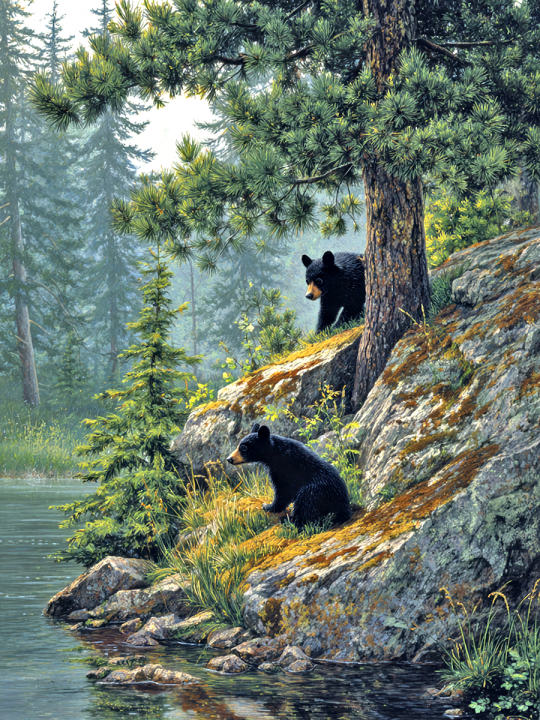 Алмазная мозаика без подрамника «Мишки у сосны» 130x100 см