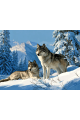 Алмазная мозаика без подрамника «Волки в горах» 40x30 см