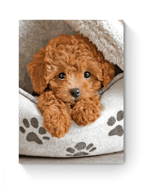 Алмазная мозаика на подрамнике «Пудель мальтипу» 90x70 см