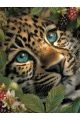 Алмазная мозаика без подрамника «Леопард» 40x30 см