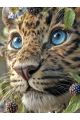 Алмазная мозаика без подрамника «Леопард» 40x30 см