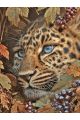 Алмазная мозаика без подрамника «Леопард» 50x40 см