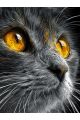 Алмазная мозаика без подрамника «Серый кот» 70x50 см