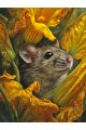 Алмазная мозаика без подрамника «Мышонок» 70x50 см
