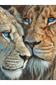 Алмазная мозаика без подрамника «Лев и львица» 70x50 см