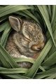 Алмазная мозаика без подрамника «Зайчонок» 90x70 см