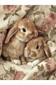 Алмазная мозаика без подрамника «Крольчата » 90x70 см