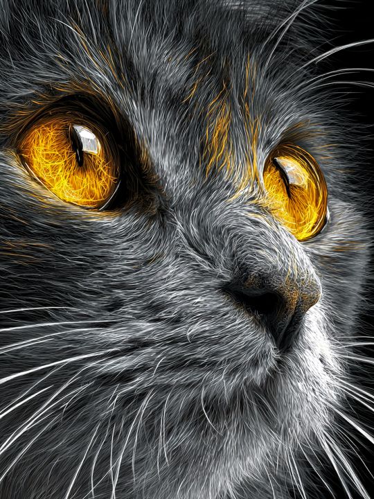 Алмазная мозаика без подрамника «Серый кот» 90x70 см