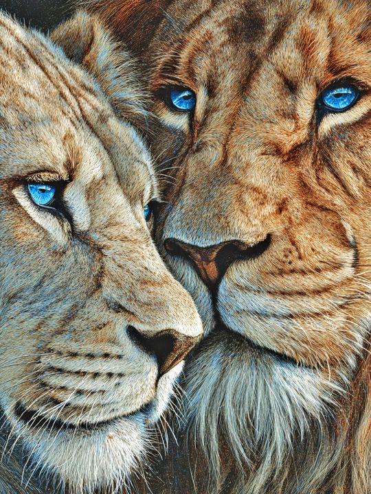 Алмазная мозаика без подрамника «Лев и львица» 90x70 см