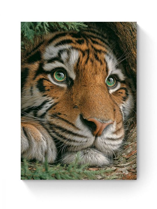 Алмазная мозаика на подрамнике «Тигр» 40x30 см