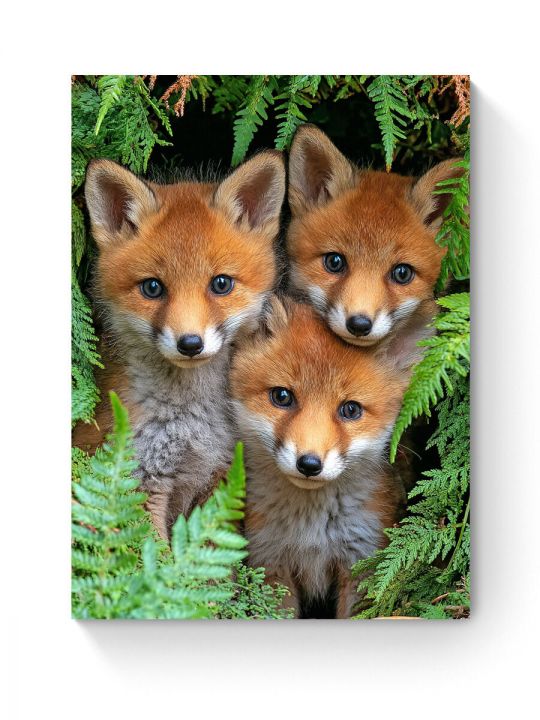 Алмазная мозаика на подрамнике «Лисята» 40x30 см