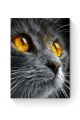 Алмазная мозаика на подрамнике «Серый кот» 50x40 см