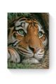 Алмазная мозаика на подрамнике «Тигр» 50x40 см, 45 цветов