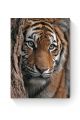 Алмазная мозаика на подрамнике «Тигр» 70x50 см