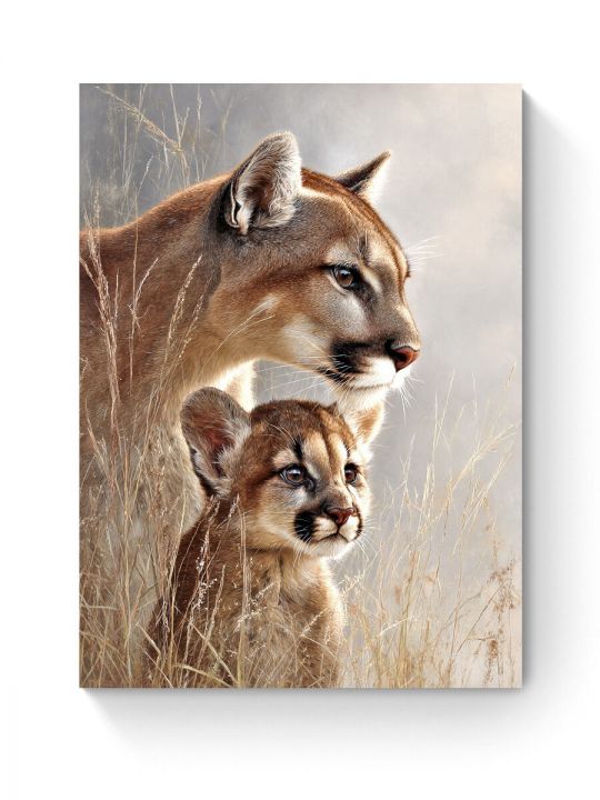 Алмазная мозаика на подрамнике «Пумы» 70x50 см