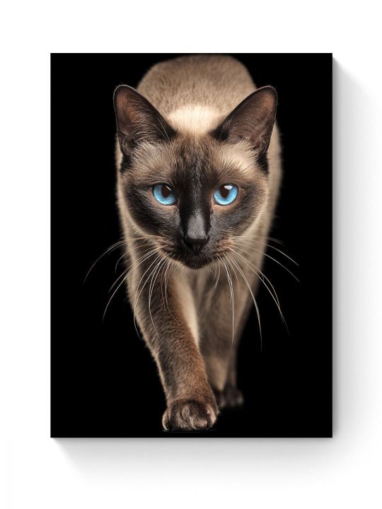 Алмазная мозаика на подрамнике «Сиамский кот» 90x70 см