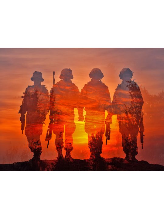 Алмазная мозаика без подрамника «Сила и долг» 40x30 см