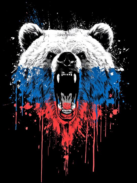 Алмазная мозаика без подрамника «Медведь-символ» 70x50 см