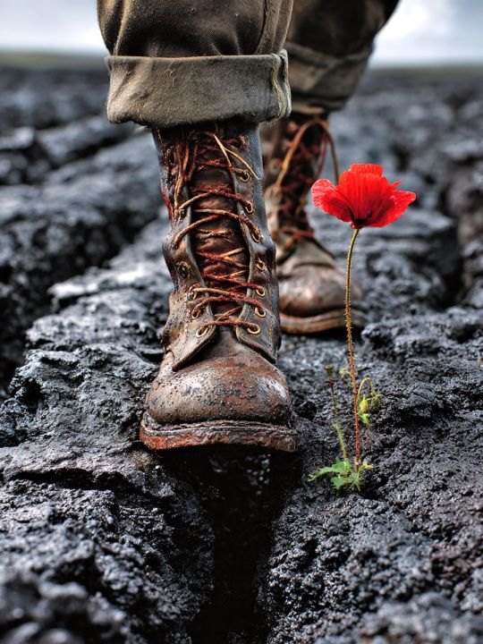 Алмазная мозаика без подрамника «Жизнь» 130x100 см