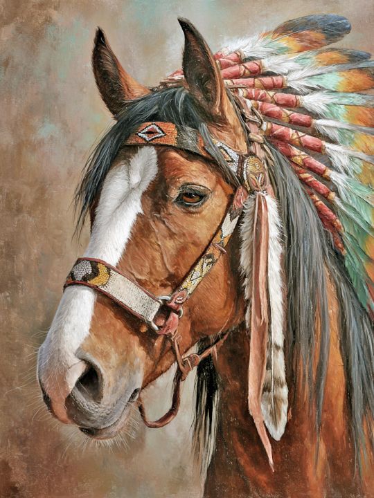 Алмазная мозаика без подрамника «Сын ветра» 50x40 см