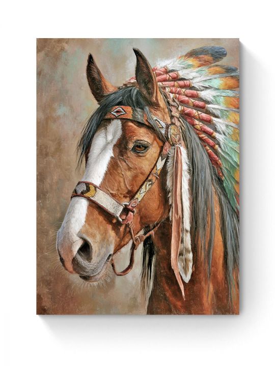 Алмазная мозаика на подрамнике «Сын ветра» 70x50 см