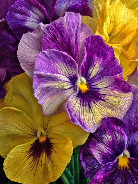 Алмазная мозаика без подрамника «Анютины глазки» 70x50 см