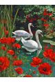 Алмазная мозаика без подрамника «Лебеди в цветах» 40x30 см
