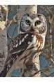 Алмазная мозаика без подрамника «Совушка» 40x30 см