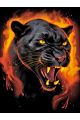 Алмазная мозаика без подрамника «Черная пантера» 50x40 см