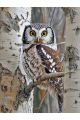 Алмазная мозаика без подрамника «Совушка» 40x30 см