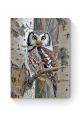 Алмазная мозаика на подрамнике «Совушка» 40x30 см