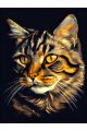 Алмазная мозаика без подрамника «Полосатый кот» 70x50 см