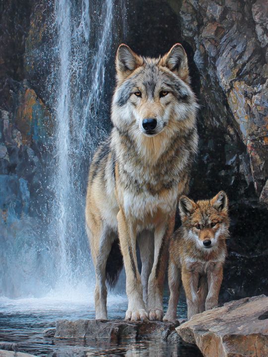 Алмазная мозаика без подрамника «Волчица» 40x30 см